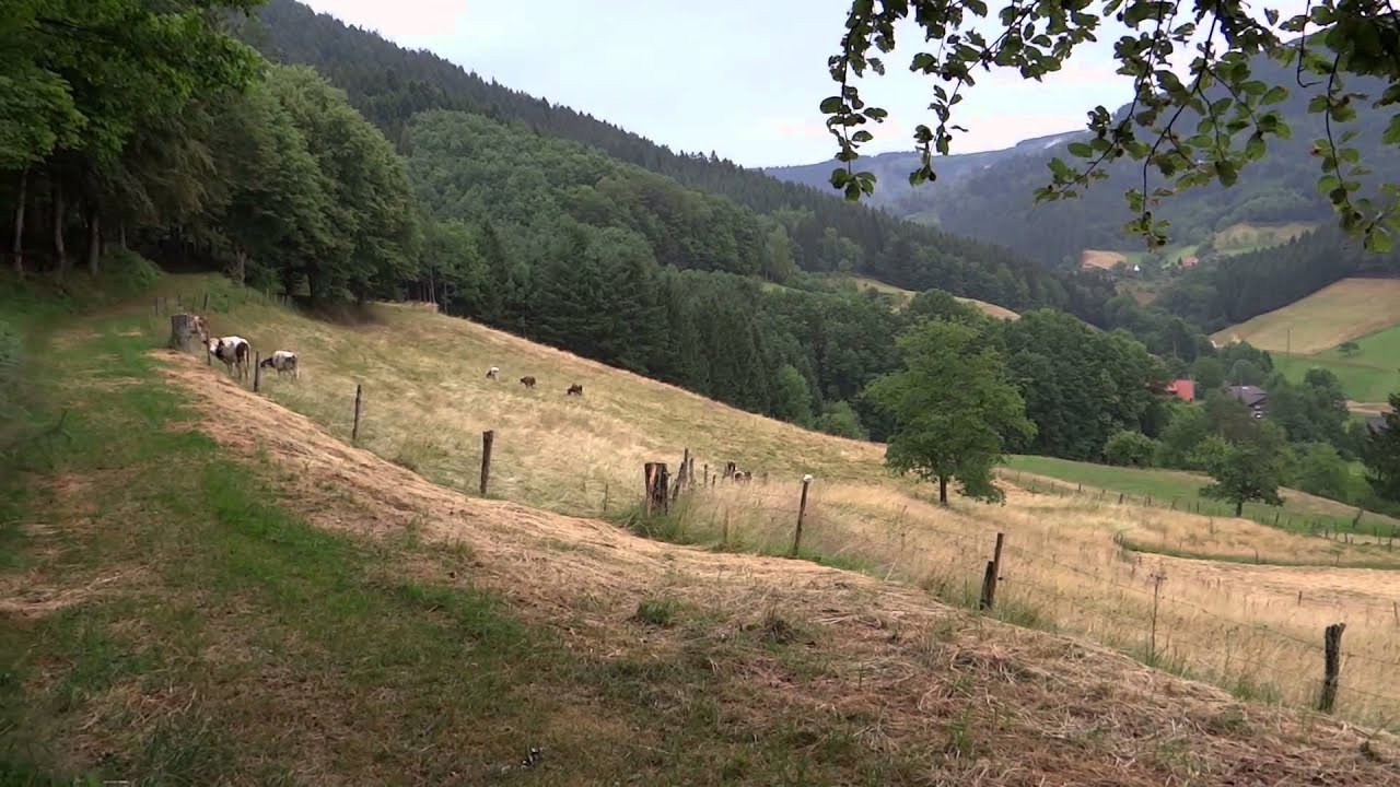 Wiesensteig Bad Peterstal-Griesbach