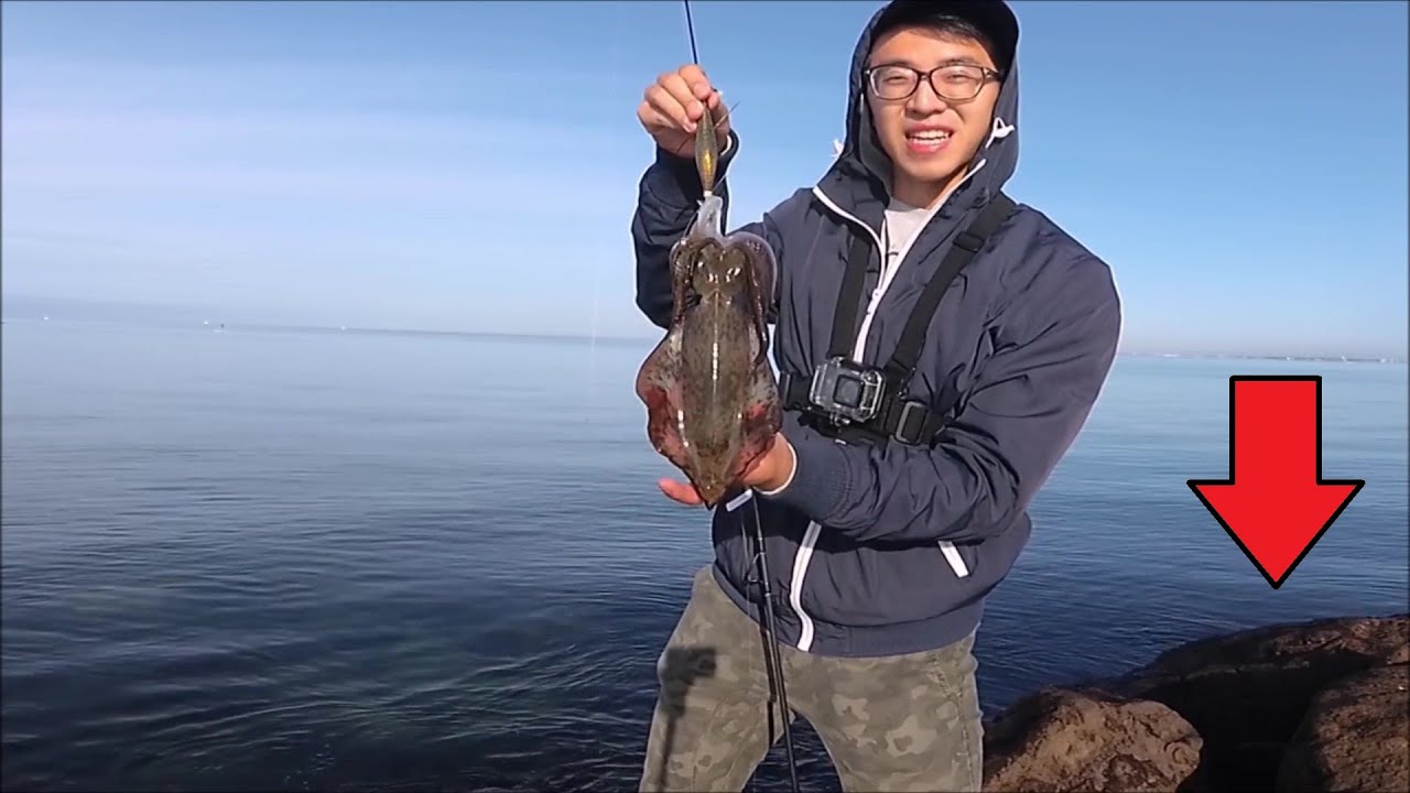 Port Phillip Bay Rocks Squid Fishing (Eging)