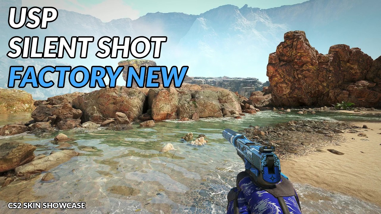 USP-S Silent Shot | CS2 Skin Showcase