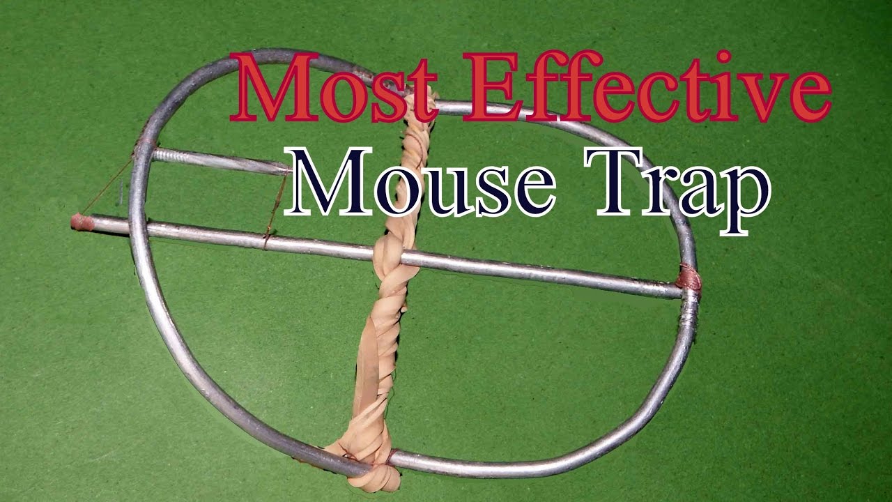 How To Make A Mouse/Rat Trap In Combodia | Homemade Mouse Trap ✔