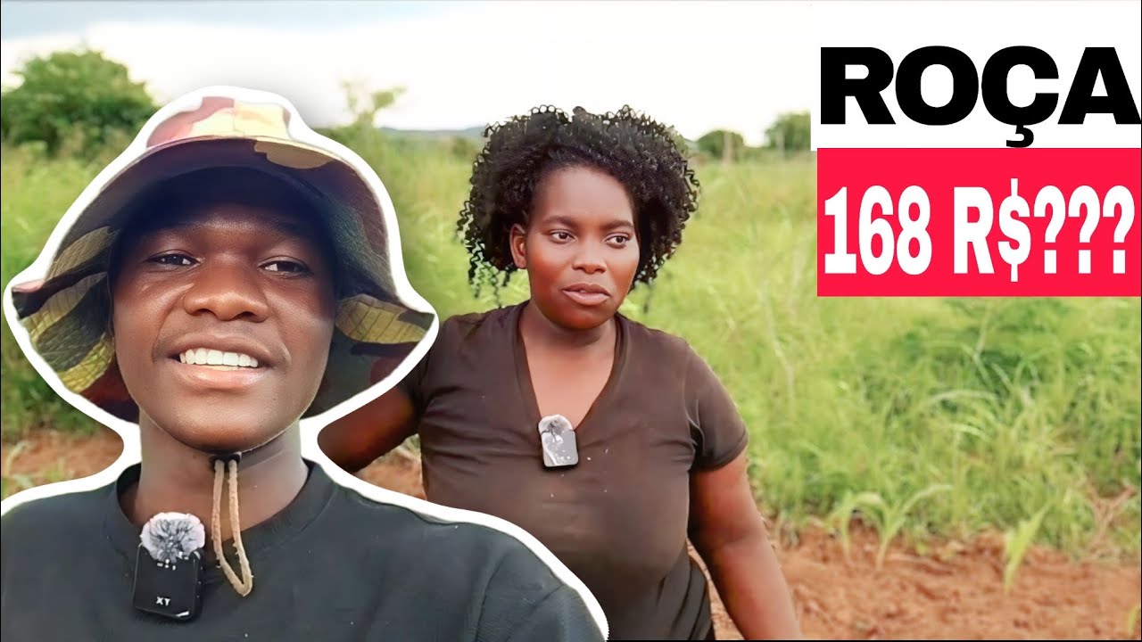 Quanto Custa uma Roça em Moçambique? Os Preços Vão Te Surpreender! 🇲🇿