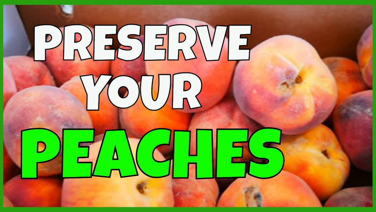 How to Preserve Peaches (3 Ways)