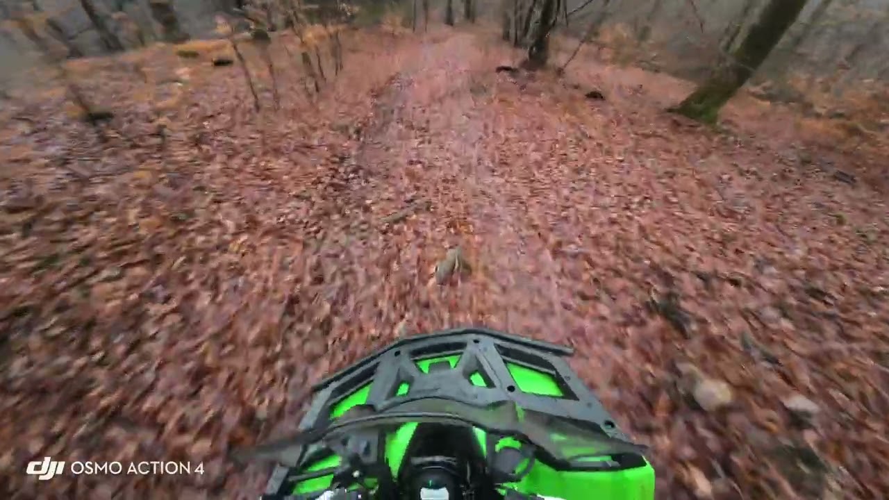 DIT GING HELEMAAL FOUT… 😱 | Quad rijden in de Ardennen