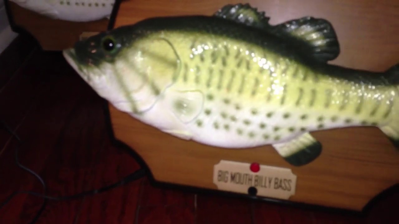 My Big Mouth Billy Bass Collection (3-2-13)