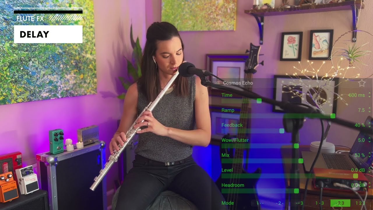 Delay: Flute & Effects Demo