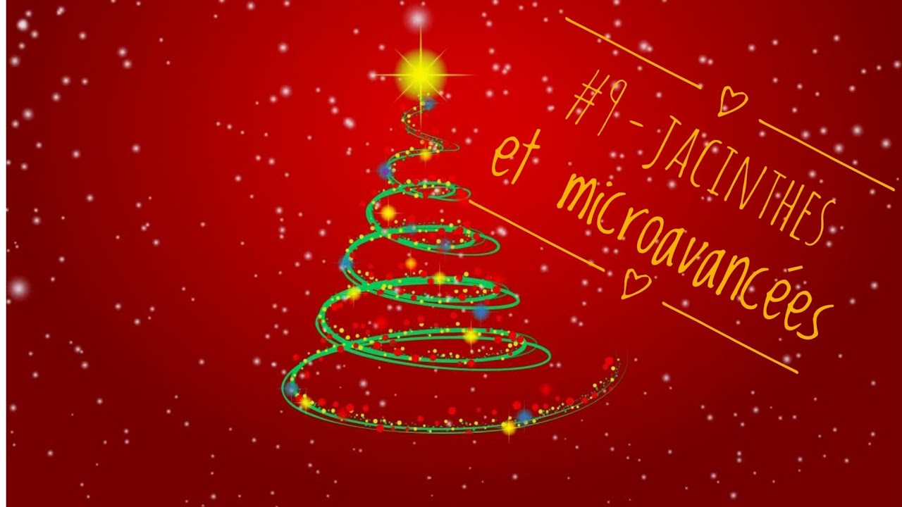Vlogmas 2025 - 9 / 8 décembre, Jacinthes et microavancées 