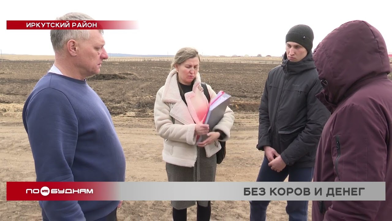 Фермеру из Иркутского района отказали в компенсации за уничтоженный из-за узелкового дерматита скот