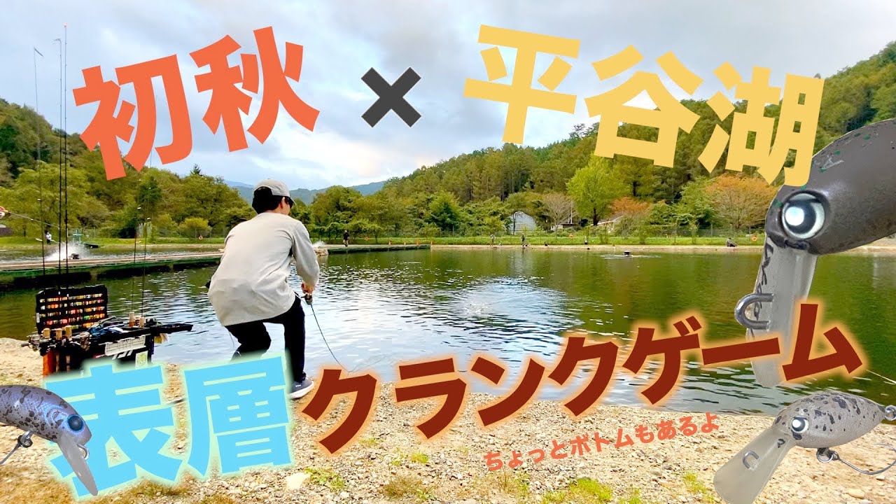 クランクベイトで遊ぶ初秋の平谷湖フィッシングスポット【エリアトラウト】