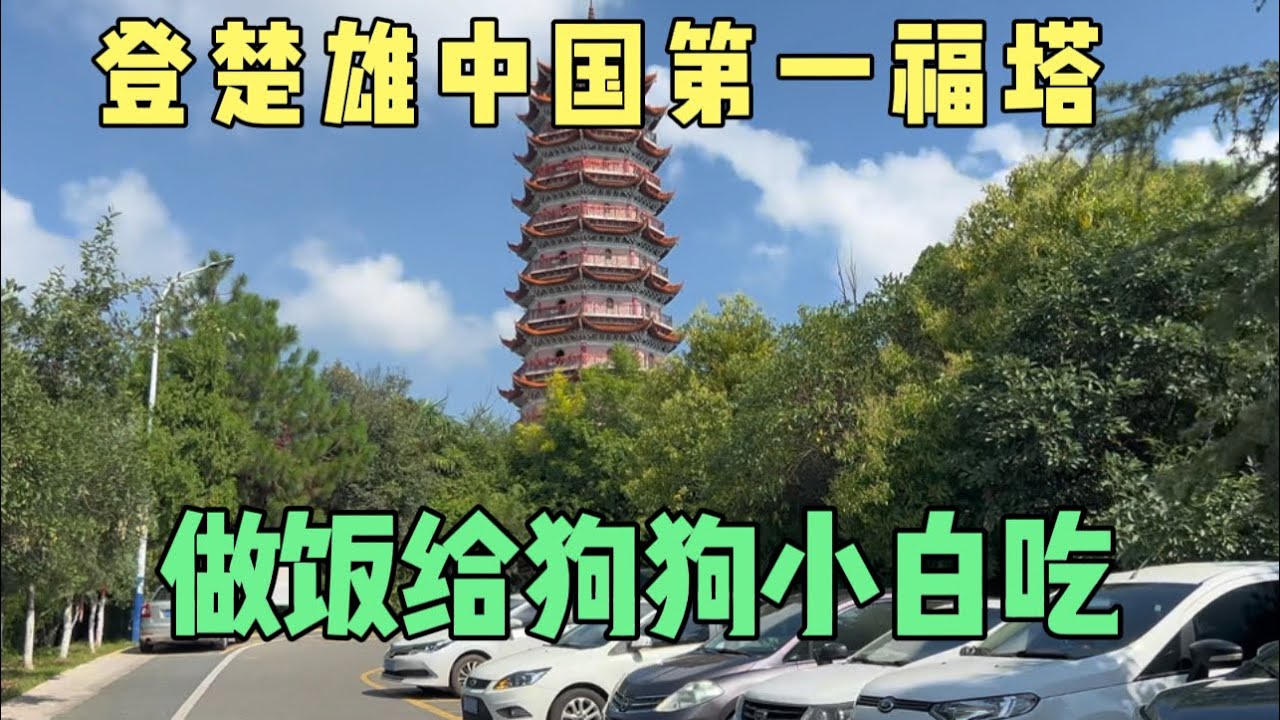 登楚雄中国第一福塔！做饭给狗狗小白吃！