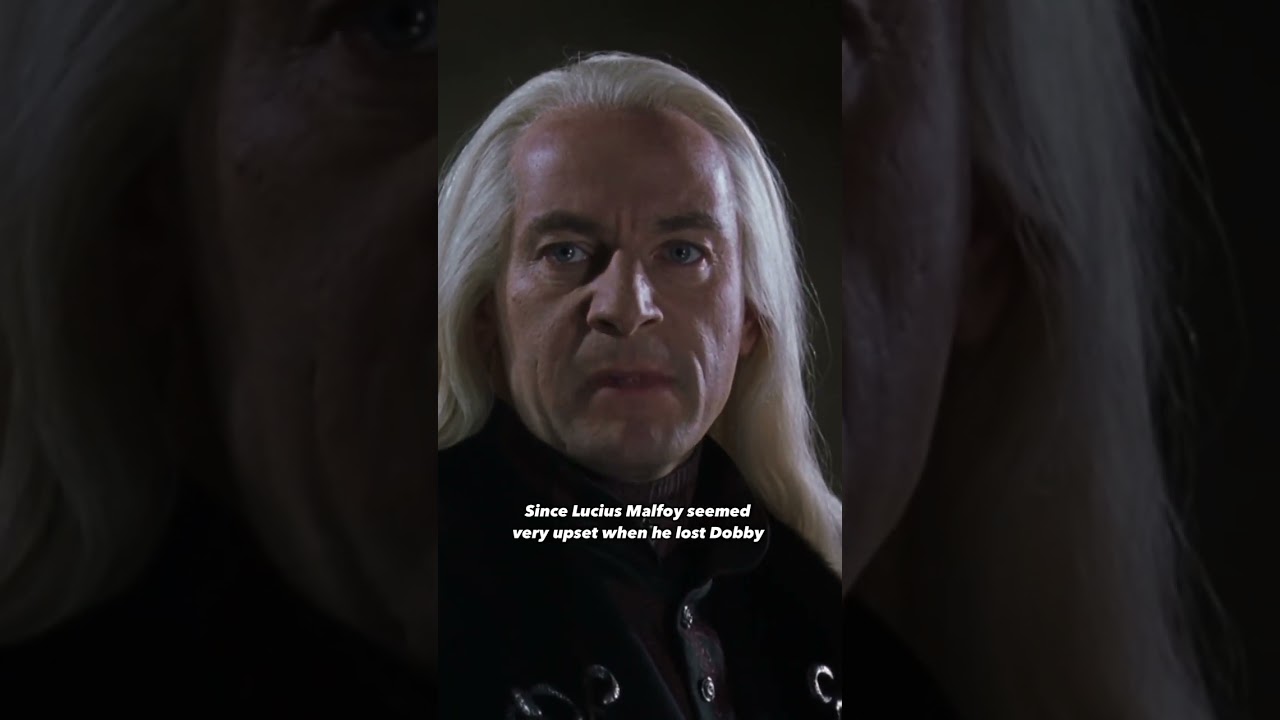 How Does a Family Get an House Elf in Harry Potter?