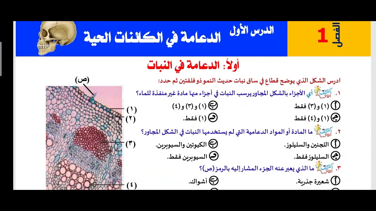 1- حل بعض اسئلة الدعامة من كتاب اكتشف الفائز ا / محمد الرفاعى ذكى 