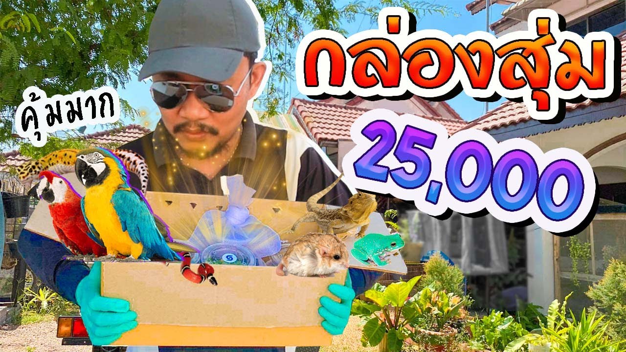 เปิดกล่องสุ่มสัตว์แปลก ราคา 25,000 บาท แพงสุดในชีวิต!  Open a random box to buy exotic animals.