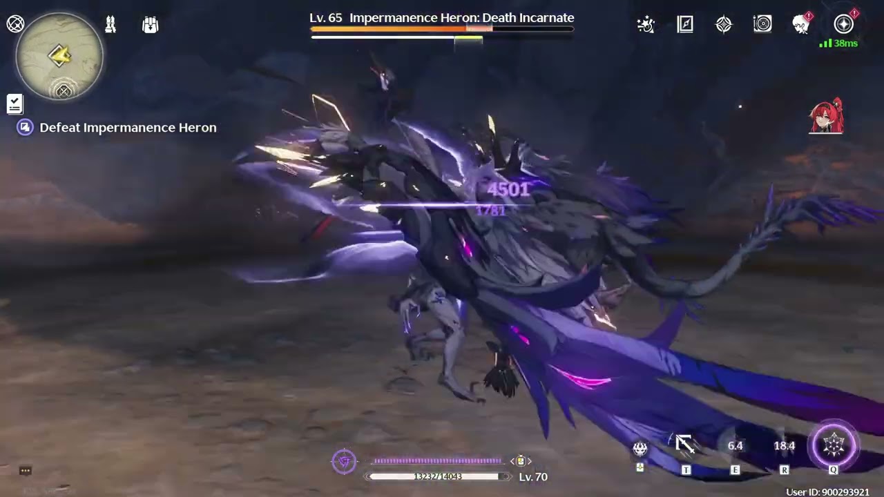 SOLO YINLIN VS IMPERMANENCE HERON