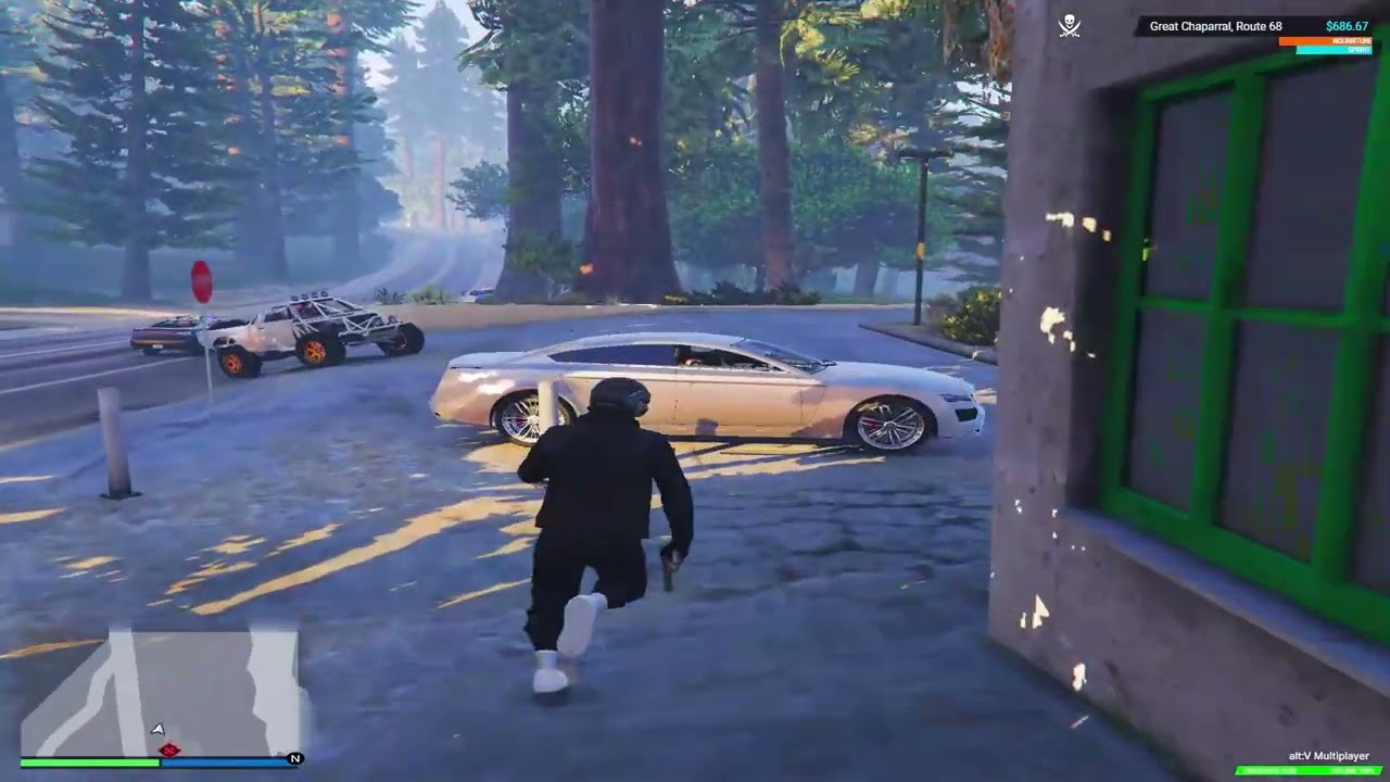 BEST OF 21 FMG KILLS AND TROLLS ( CTG GTA RP)