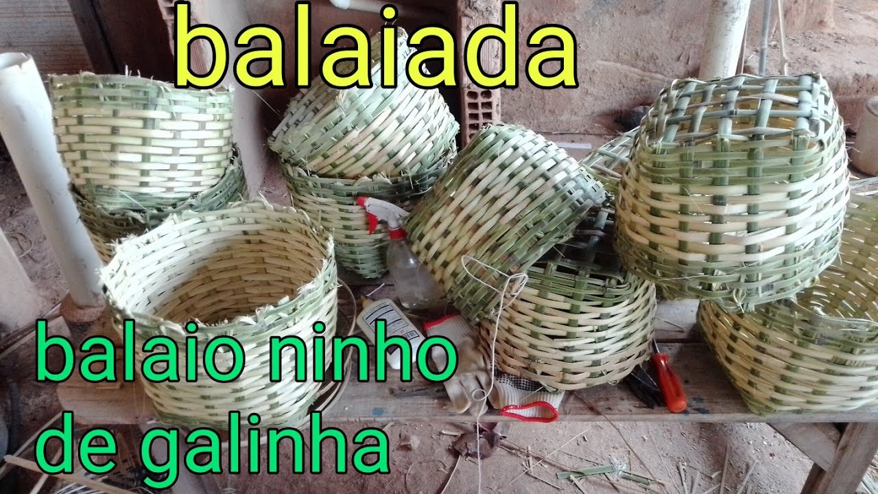 balaio para ninho de galinha, como fazer um balaio com bambu cana da índia.