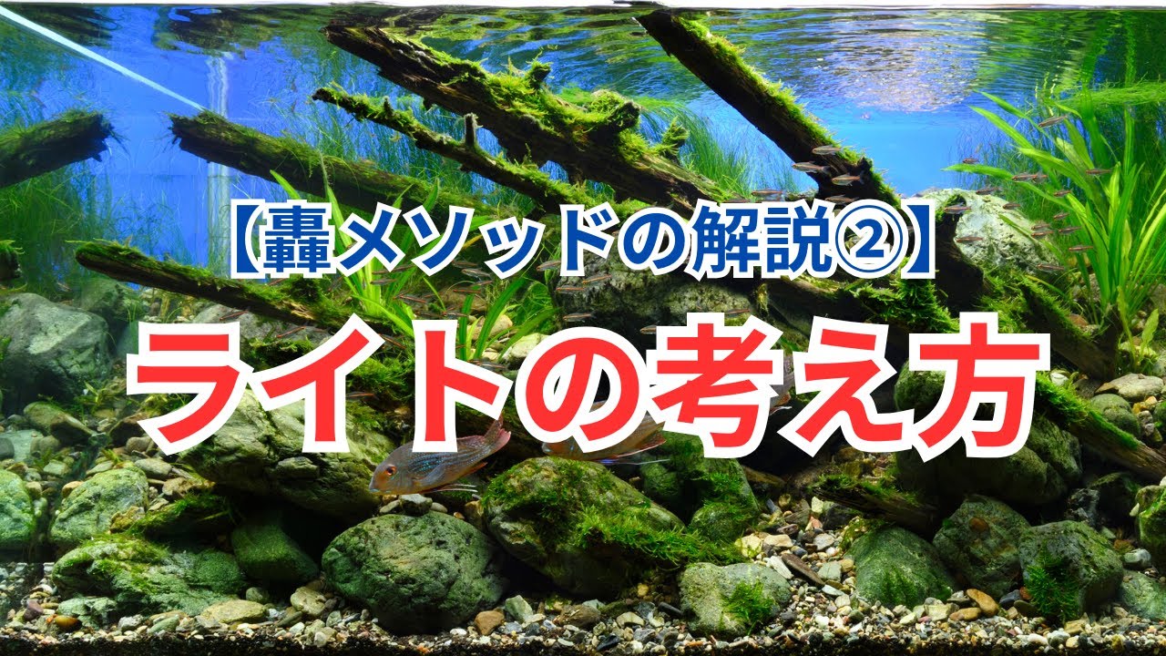 【轟メソッド②】ライトの考え方