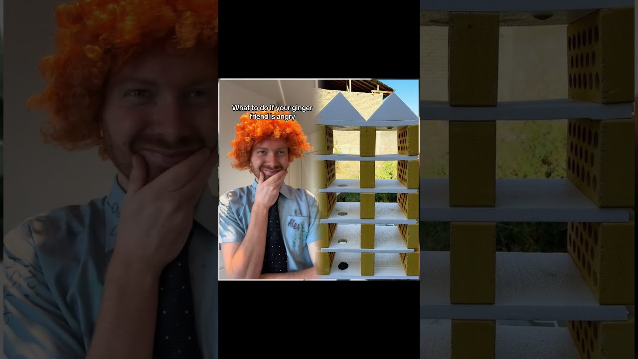 Follow this guide if your ginger friend is angry&nbsp;#foryoupage&nbsp;#fyp&nbsp;#comedy&nbsp;#viral&nbsp;#ginger