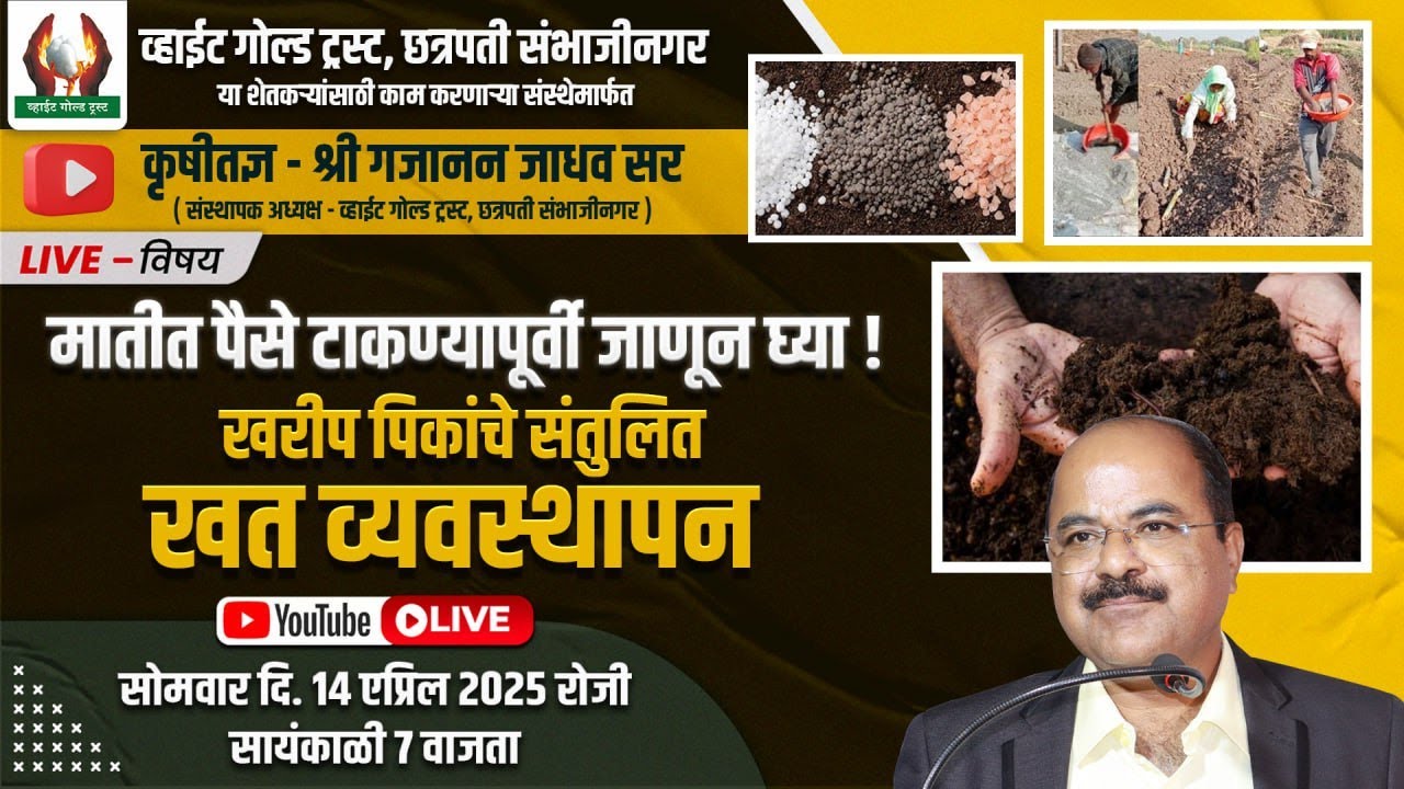 मातीत पैसे टाकण्यापूर्वी जाणून घ्या ! खरीप पिकांचे संतुलित खत व्यवस्थापन