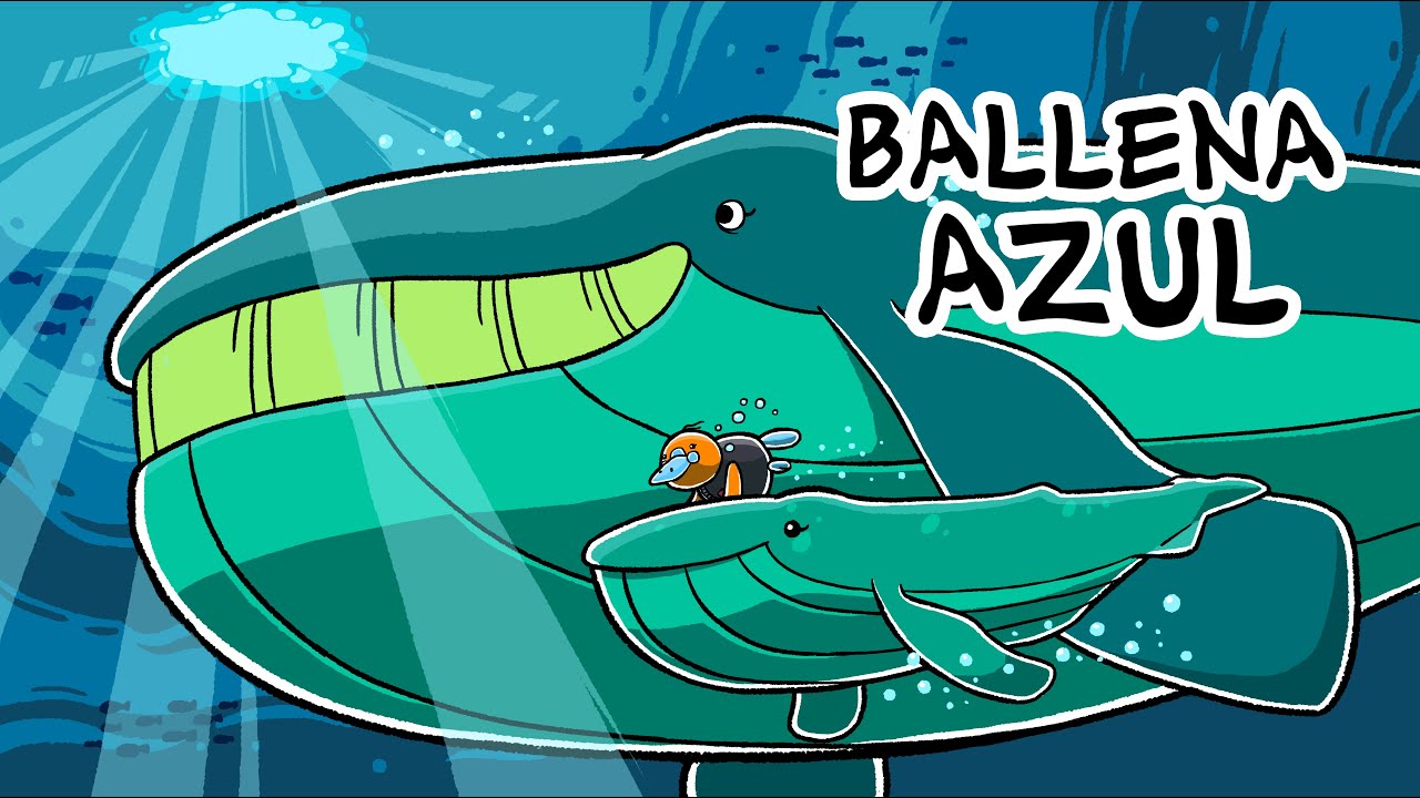 Hola Flinko - Ballena Azul / Capítulo 15 Completo Temporada 1