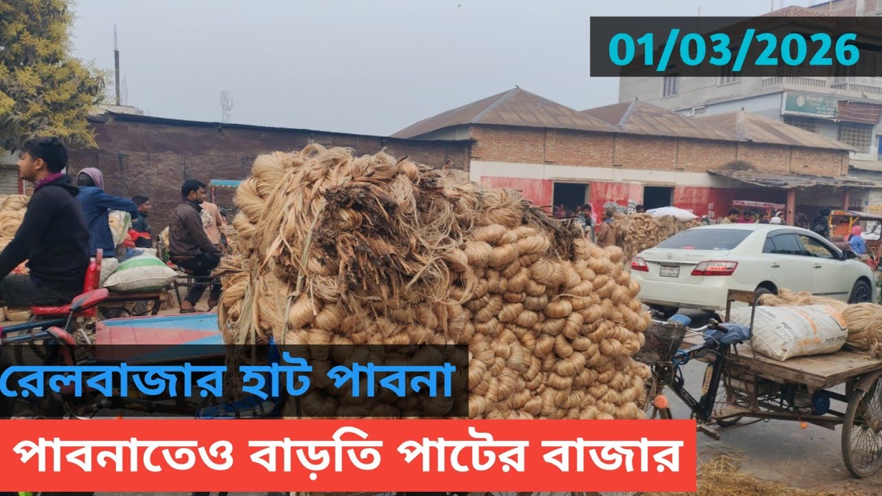 1 March 2026 আজকের পাটের বাজার দর। বাড়তি পাটের বাজার পাবনাতে ও jute wholesale market price rate 