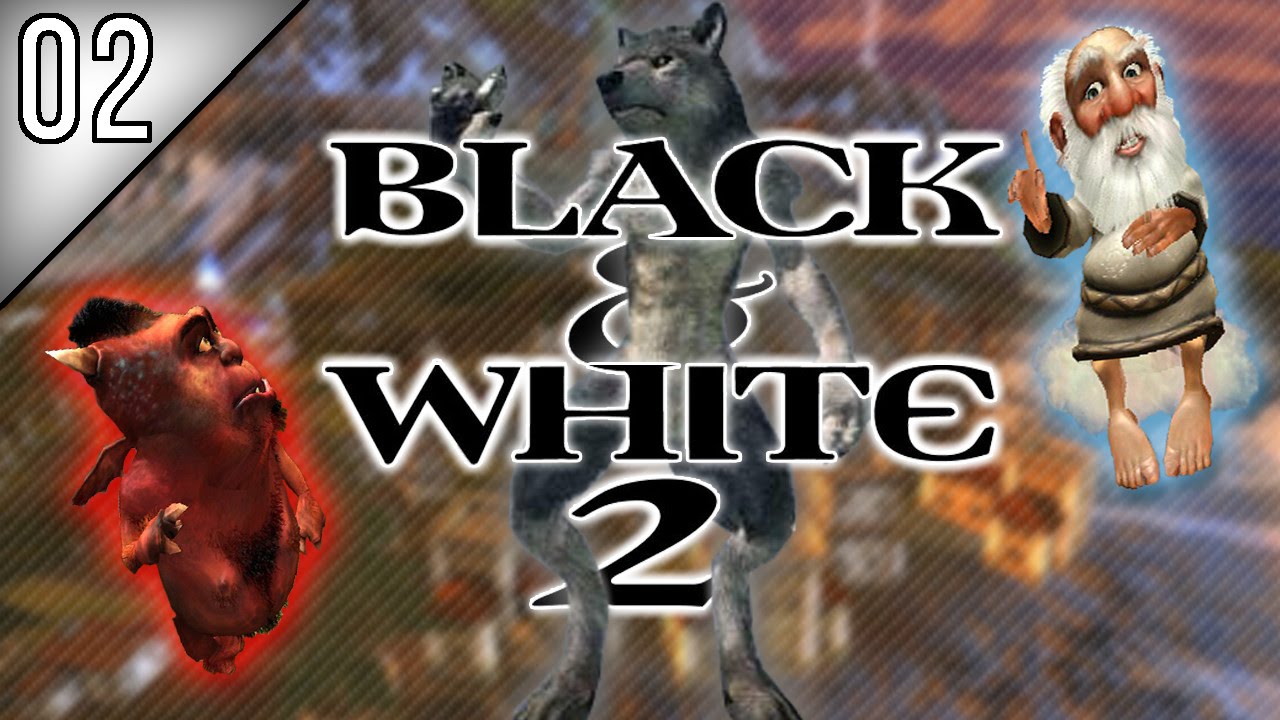 BLACK & WHITE 2 #02