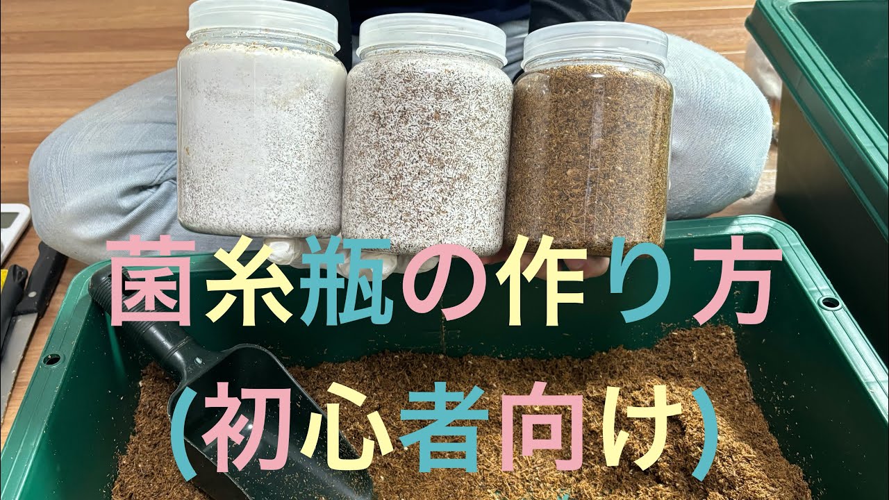 えくにゃん　菌糸ブロックから菌糸瓶の詰め方！とっても簡単編⭐️誰でもできる特殊道具を使わないやり方！