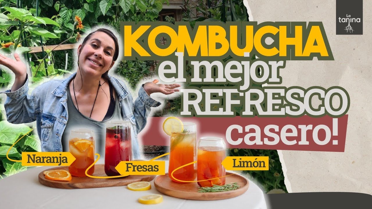 Kombucha: guía para principiantes 🍹
