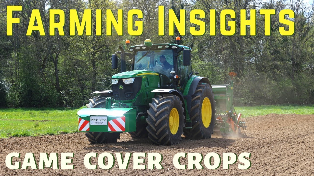 FARMING INSIGHTS | Game Bird Cover Crops | John Deere 6215R & Amazone Combination Drill