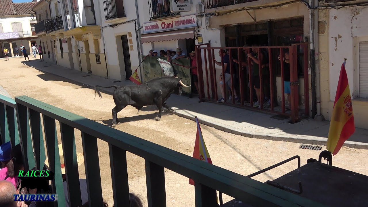 TORO DEL CAJON Y ENCIERRO URBANO - FUENTESAUCO (ZA) - LUNES 07/07/25