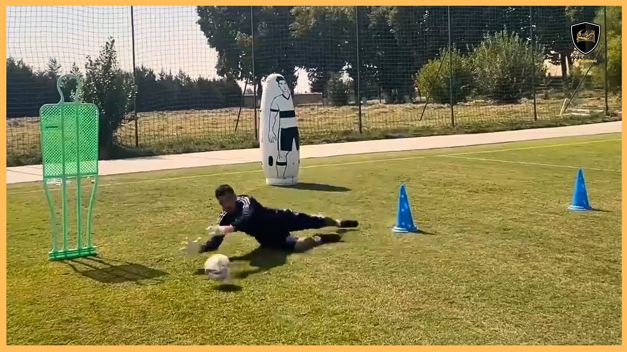Professional Goalkeeper Training