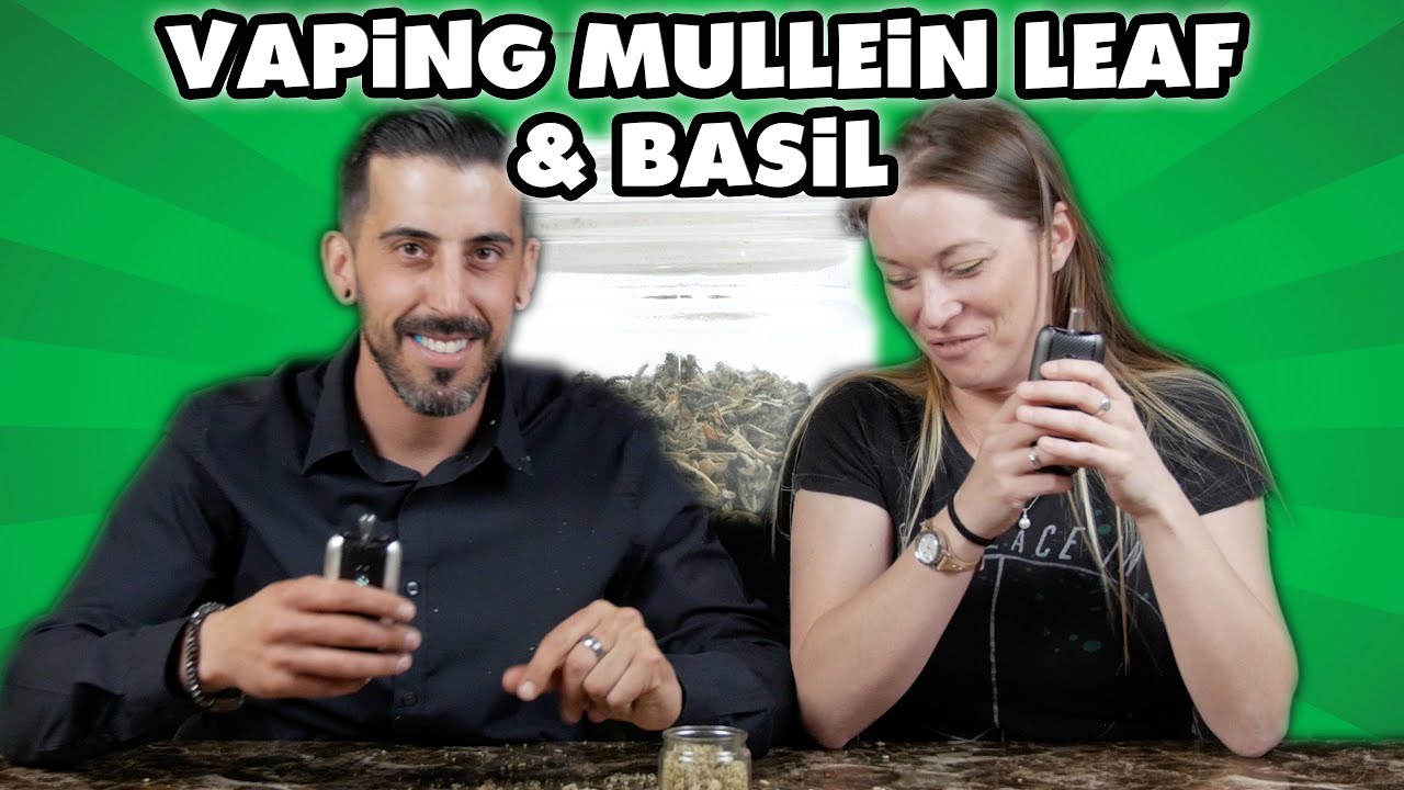 You Can Vape What?! - Vaping Mullein Leaf and Basil w/ Ascent Vaporizers