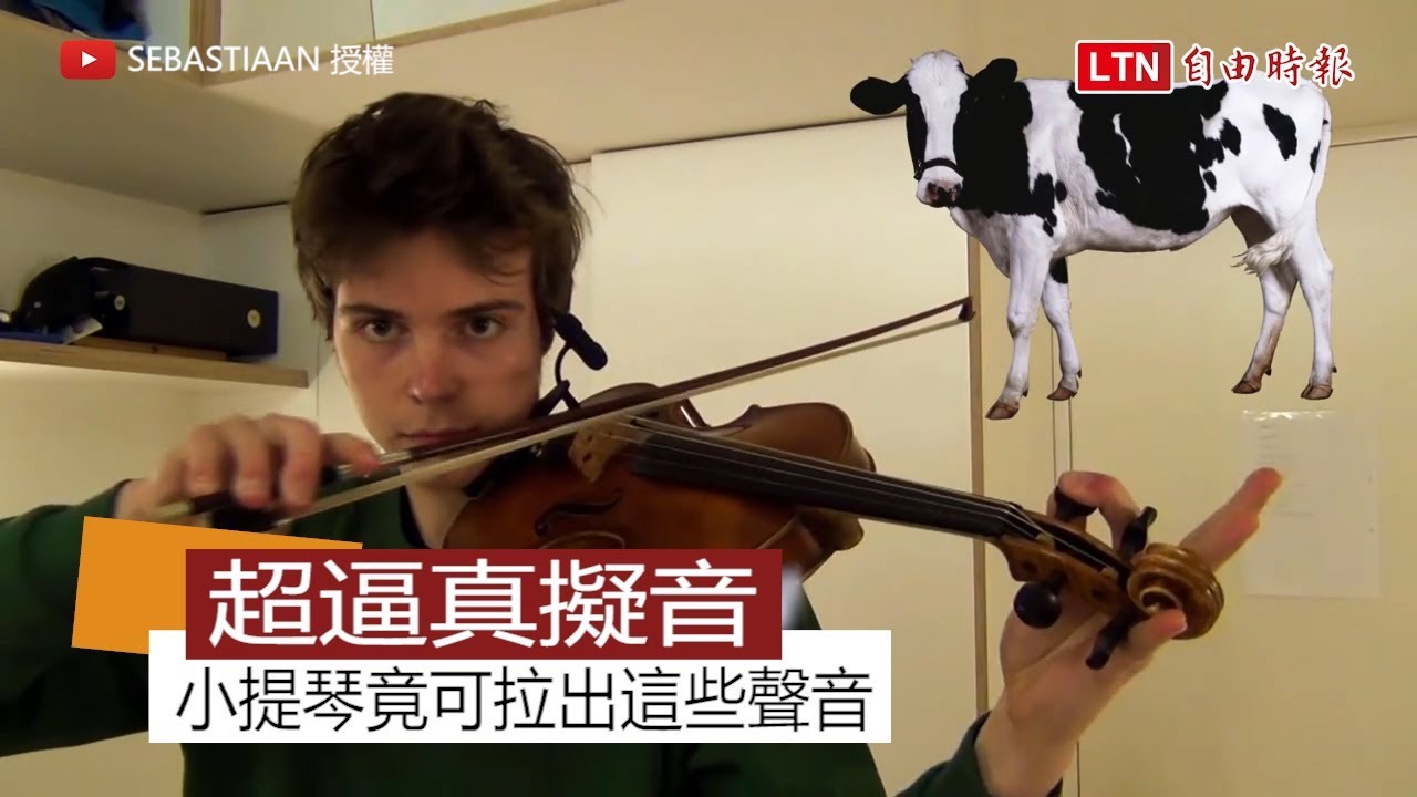 神乎其技擬音技術！ 比利時神人用小提琴「開動物園」啦！