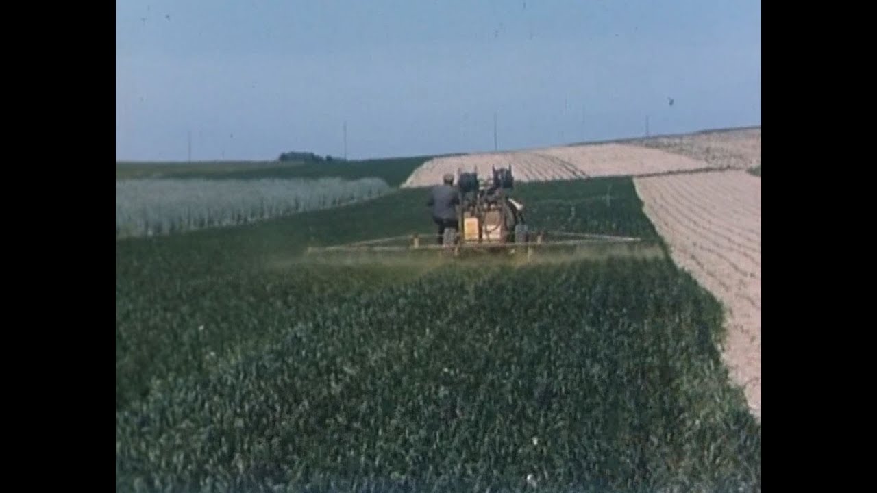 Getreidebau (Schweiz, 1969)