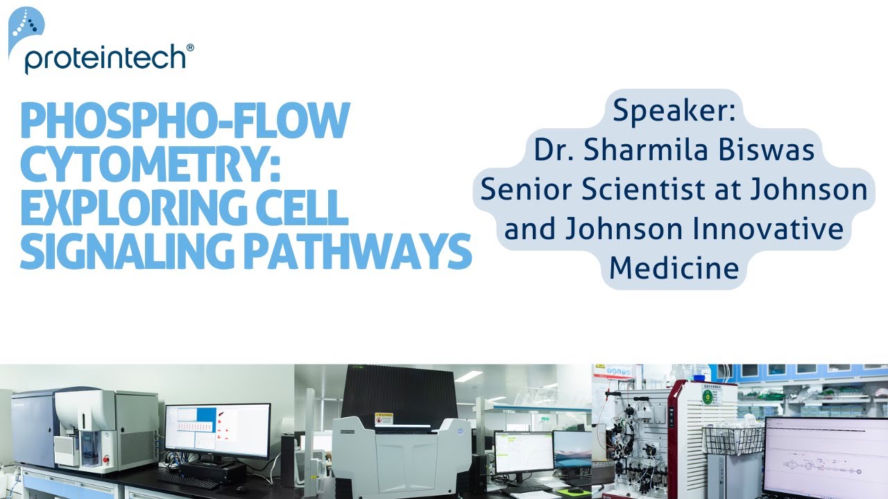 Phospho-Flow Cytometry: Exploring Cell Signaling Pathways