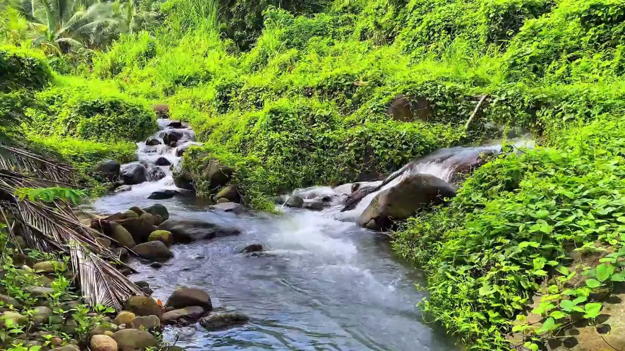 😌 Calm Your Mind | Peaceful Stream Sounds ASMR White Noise
