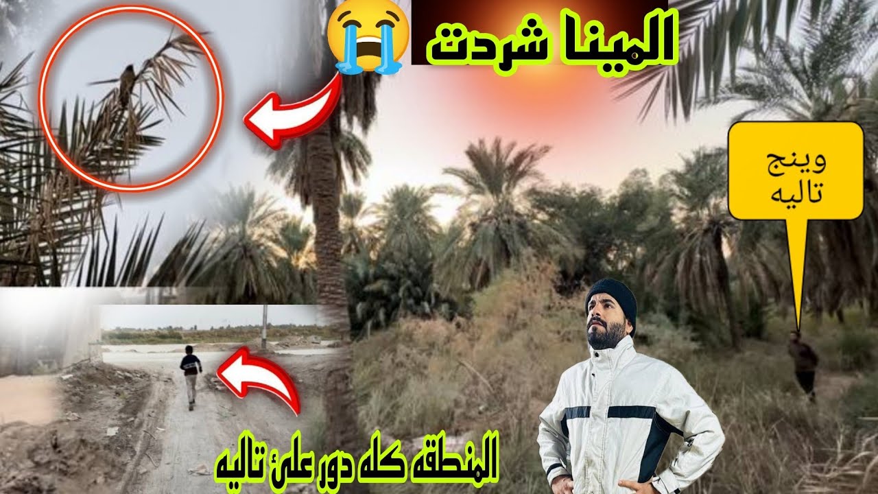 روتين يومي في المزرعة 😊 تالية شردت وكله تركض وراها