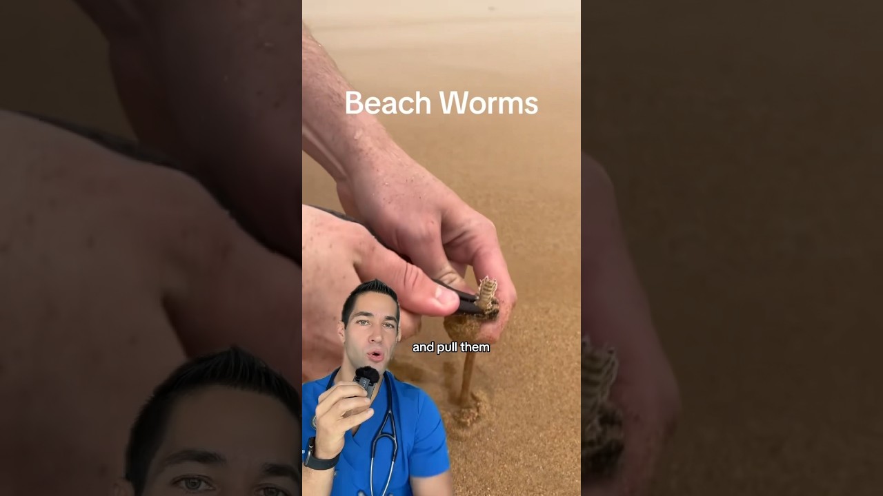 Doctor Reacts: sand worms on the beach?!