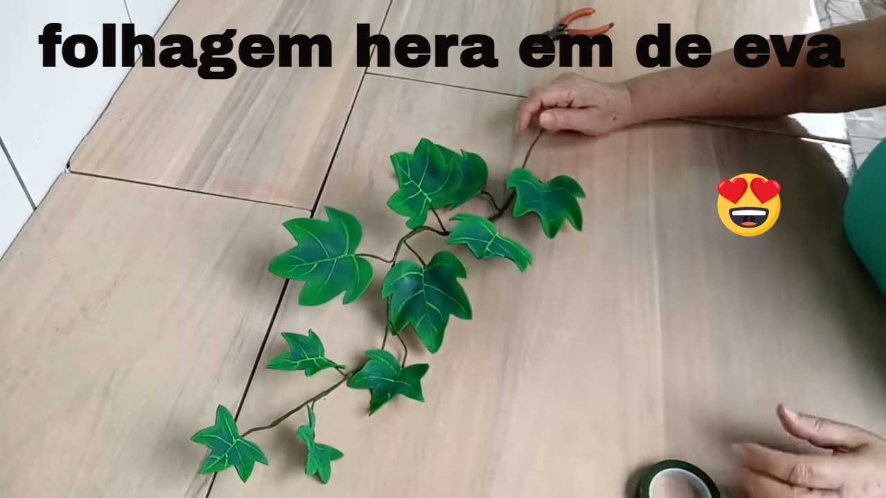 Hera ingleza  folhagem  de eva a mão livre