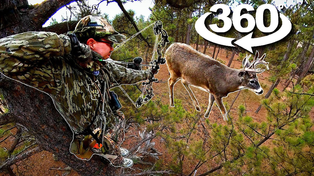 360 Degree DEER HUNT!  (12 Yard Bow Shot!)