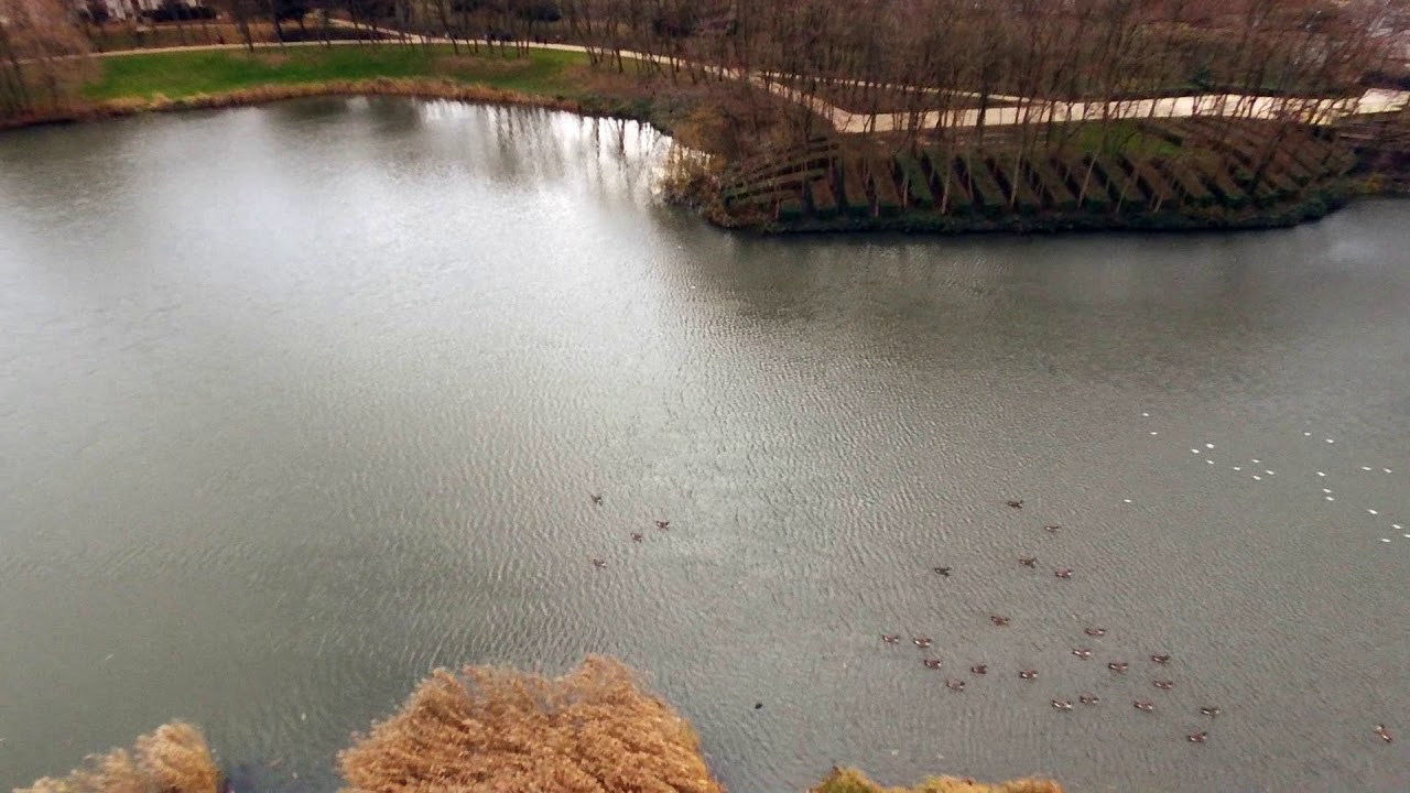 Lac de Lognes - Île-de-France