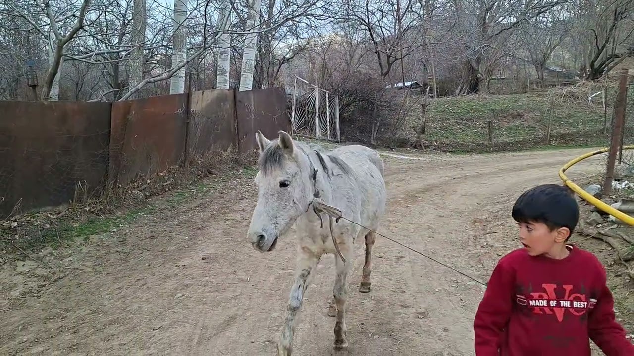 Məhəllə gəzintisi