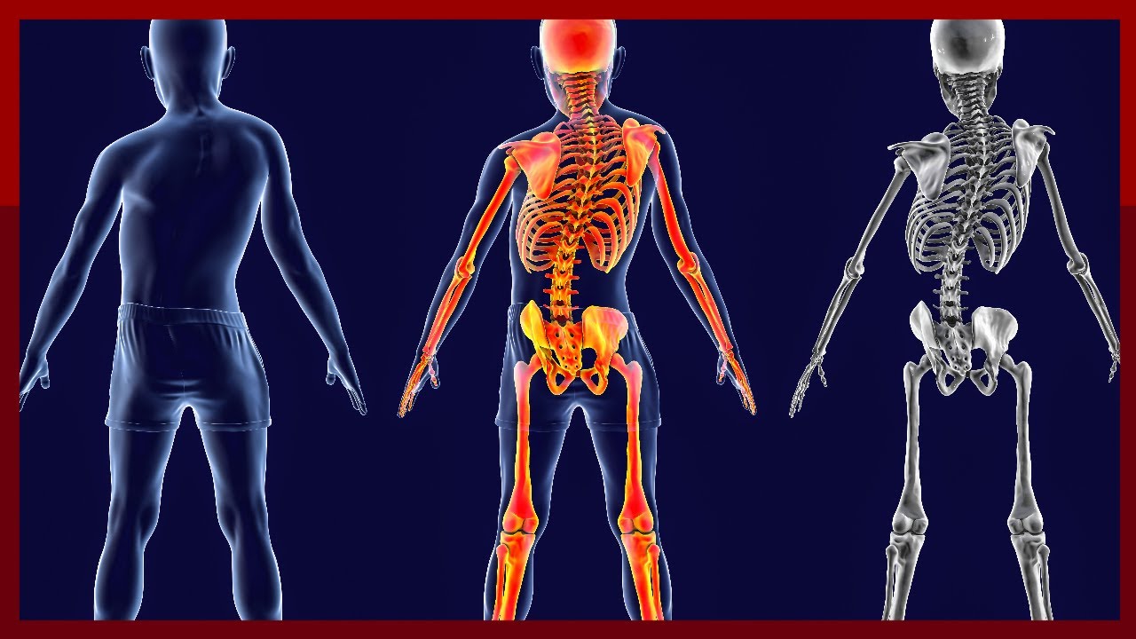 Treating Complex Spine Disorders: State of the Art Solutions