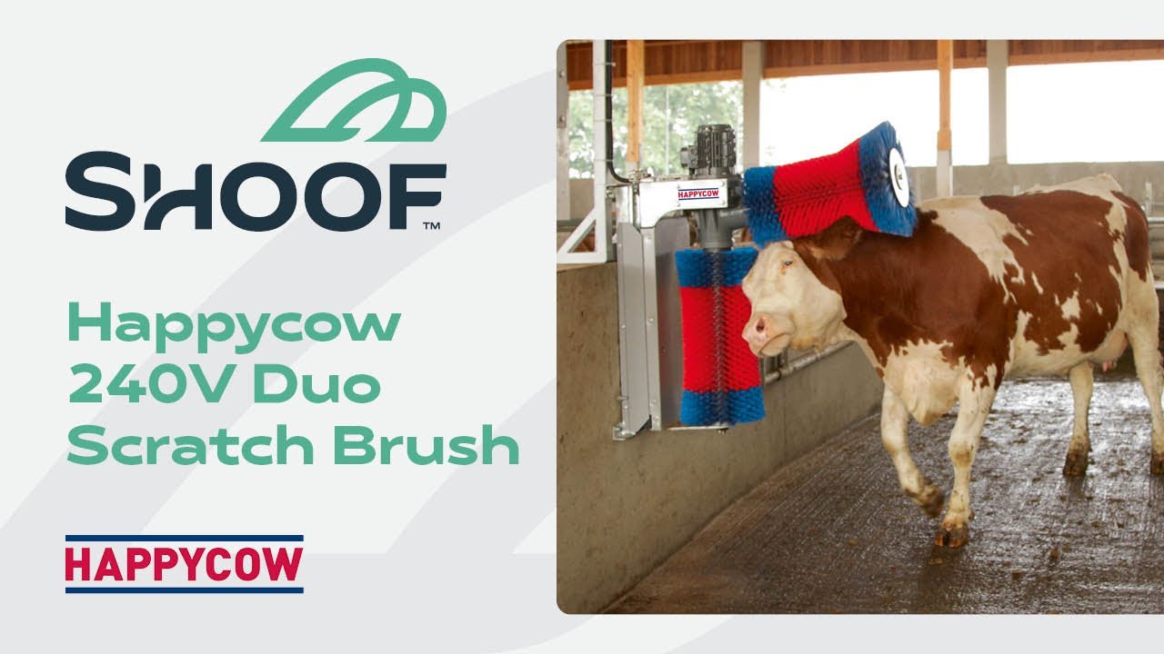 Happycow 240V Duo Scratch Brush