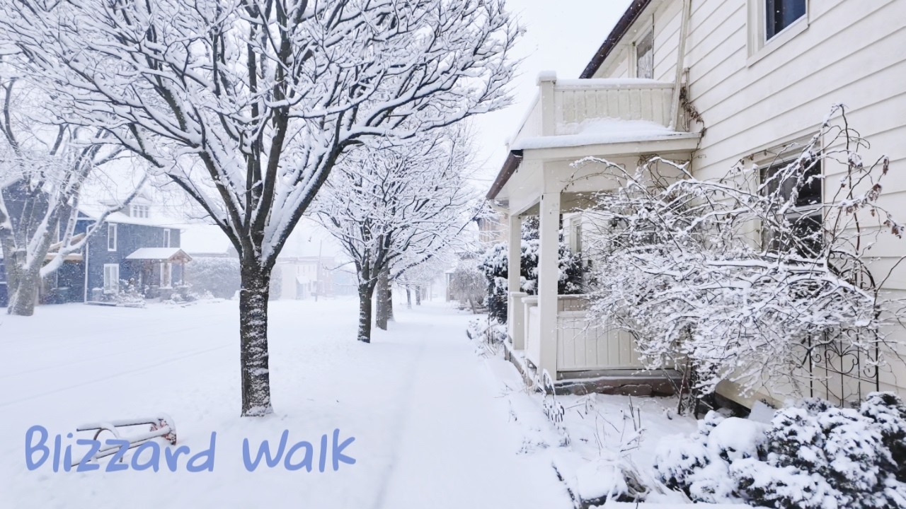 Heavy Snow & Strong Wind ❄️ Blizzard Walk in Canada | Winter City Walk ASMR