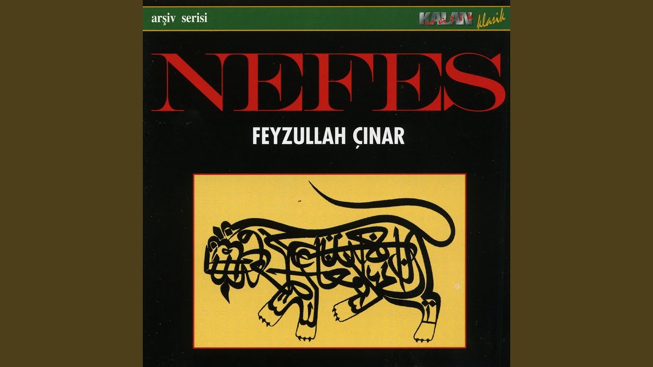 Gezdim Şu Alemi