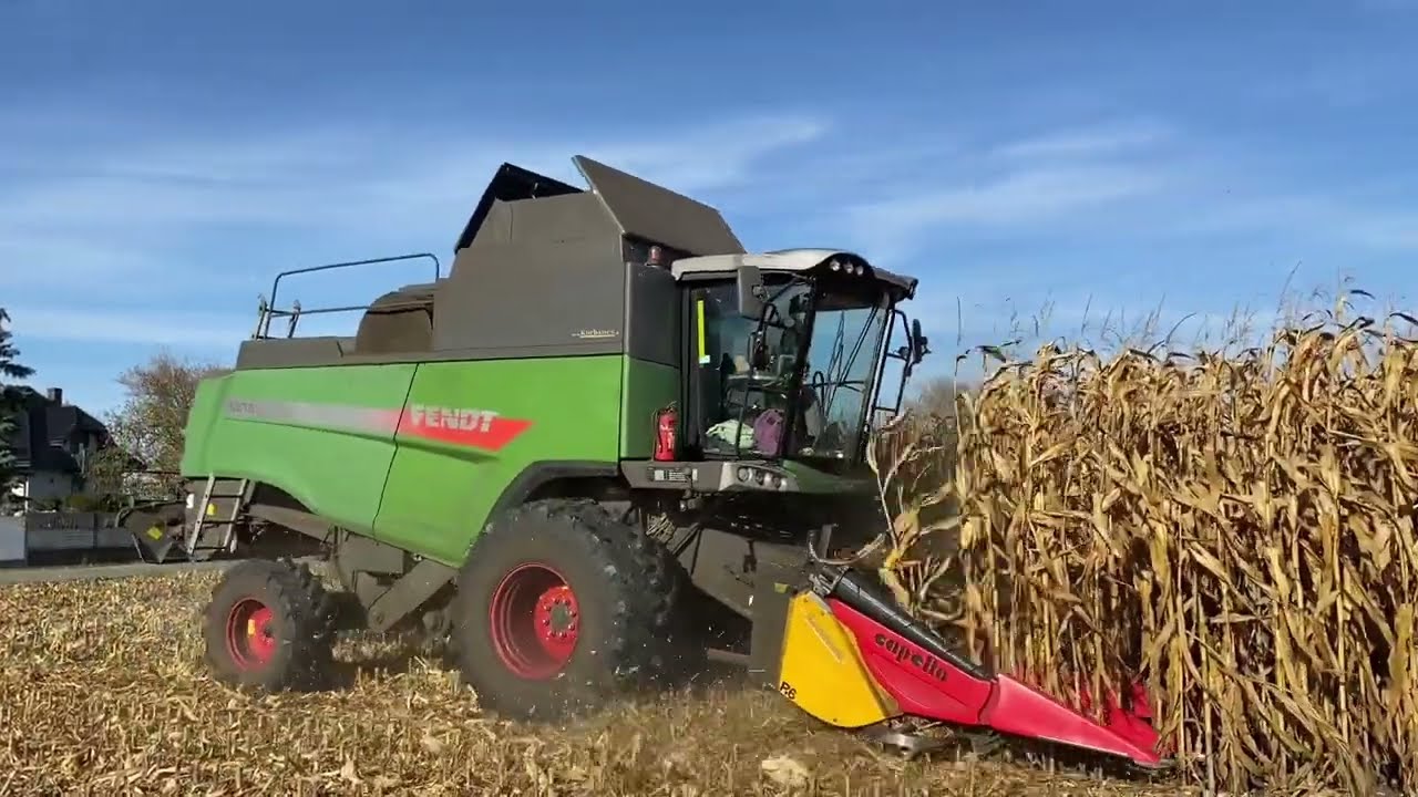 Koszenie kukurydzy 2022 FENDT 6275L