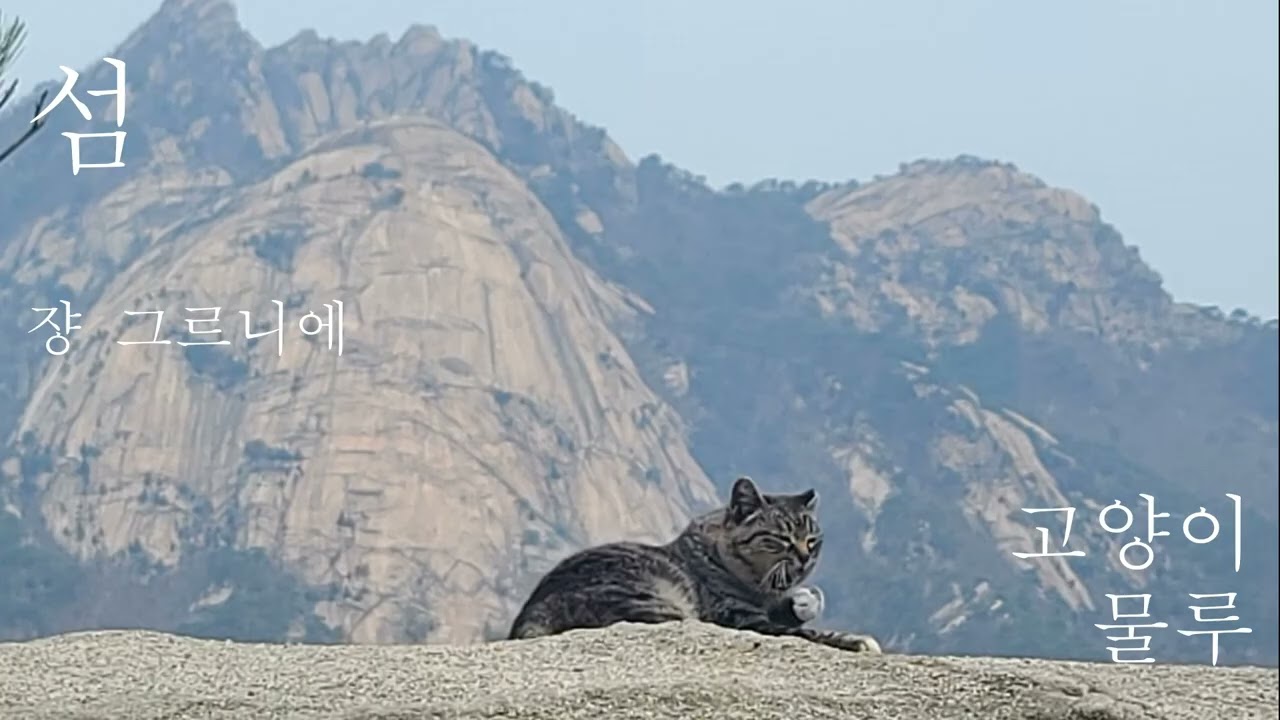 고양이 물루/쟝 그르니에/섬
