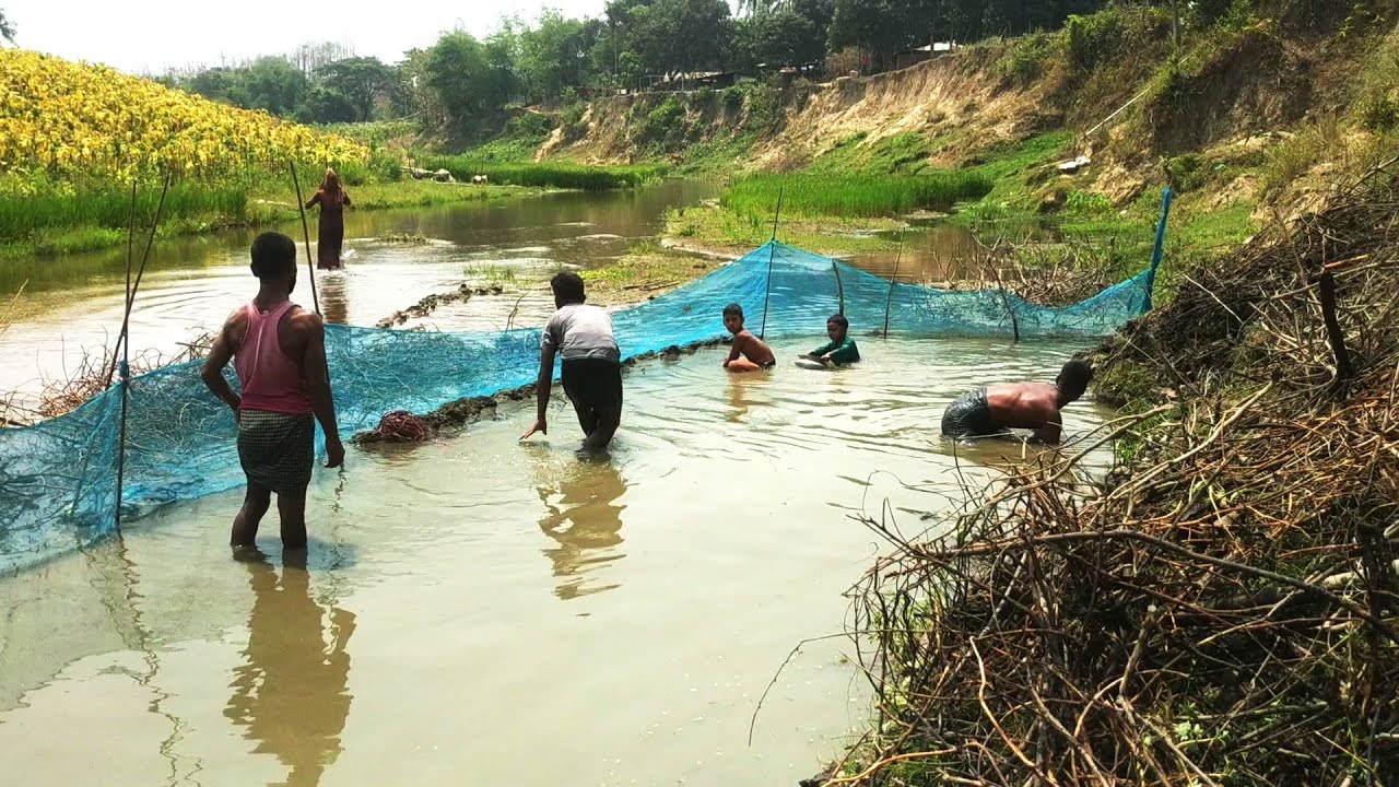 Catching Fish in the River of Bandarban || Nature of Bangladesh