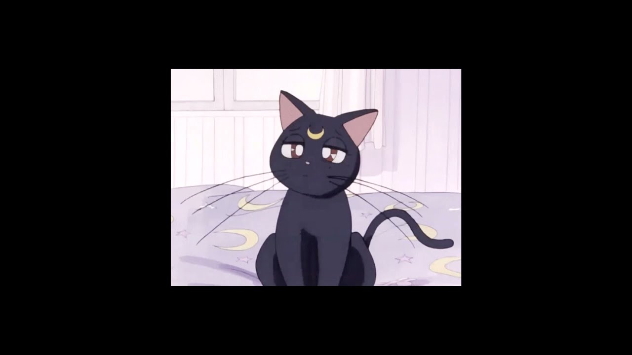 𝙇𝙞𝙣𝙠𝙞𝙣 𝙋𝙖𝙧𝙠 - 𝙃𝙖𝙡𝙛𝙬𝙖𝙮 𝙍𝙞𝙜𝙝𝙩 [Slowed + Reverd]