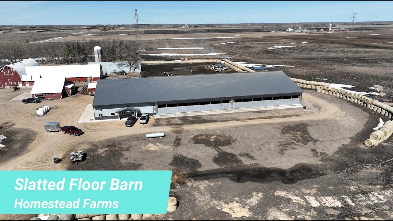 Slatted Floor Pit Barn (Homestead Farms)